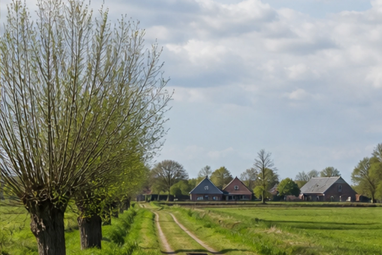 Hecken- und Feldlandschaft bei Vinkrath in Grefrath