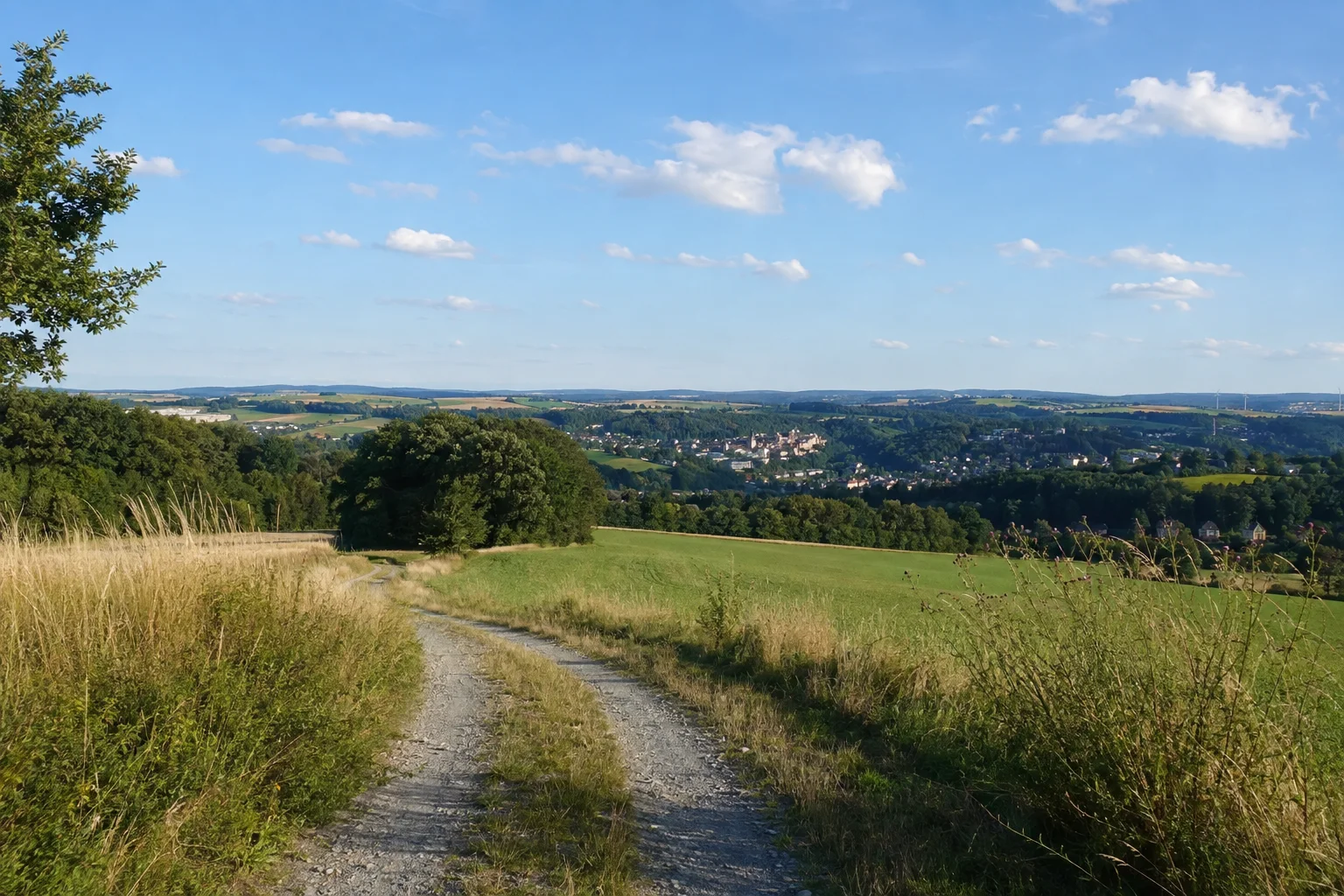 Gommlaer Höhen: sanft hügeliger Feldweg mit kleinen Waldstücken westlich von Greiz