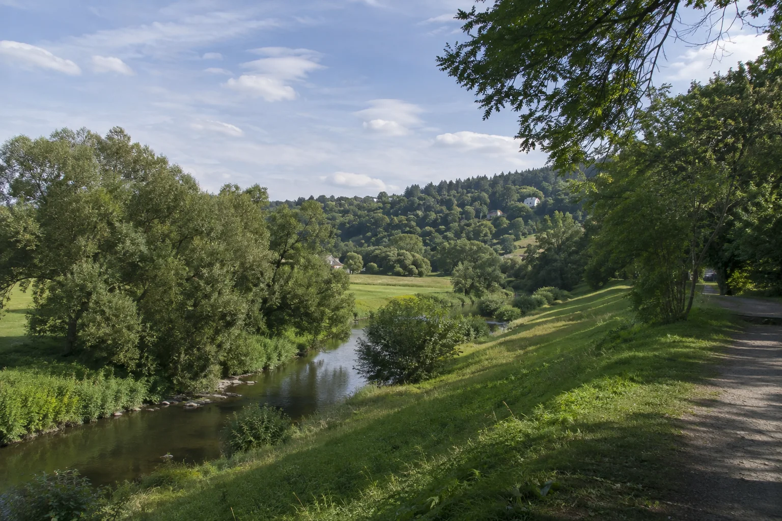 Greiz: Greizer Parklandschaft: grüne Wiesen und alte Laubbäume nahe der schmalen Weißen Elster