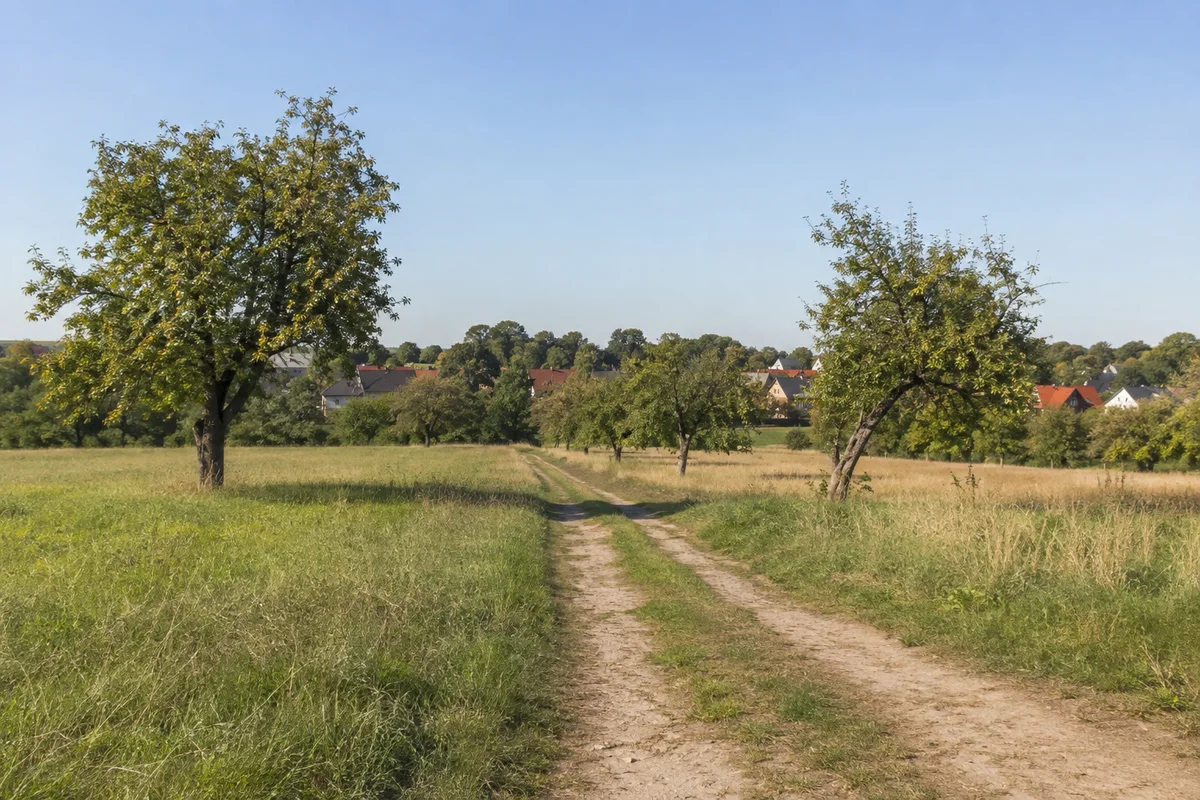 Höfgen: Muldenwiesen mit Obstbäumen und niedrigen Dorfhäusern hinter dem Weg