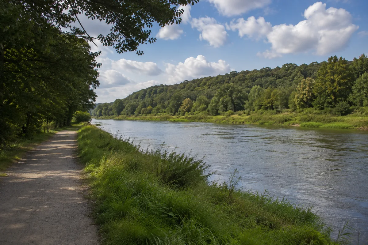 Grimma: Grimma Oberer Bahnhof: Mulde bei Grimma: breiter ruhiger Fluss unter bewaldetem niedrigem Uferhang, ebener Uferweg