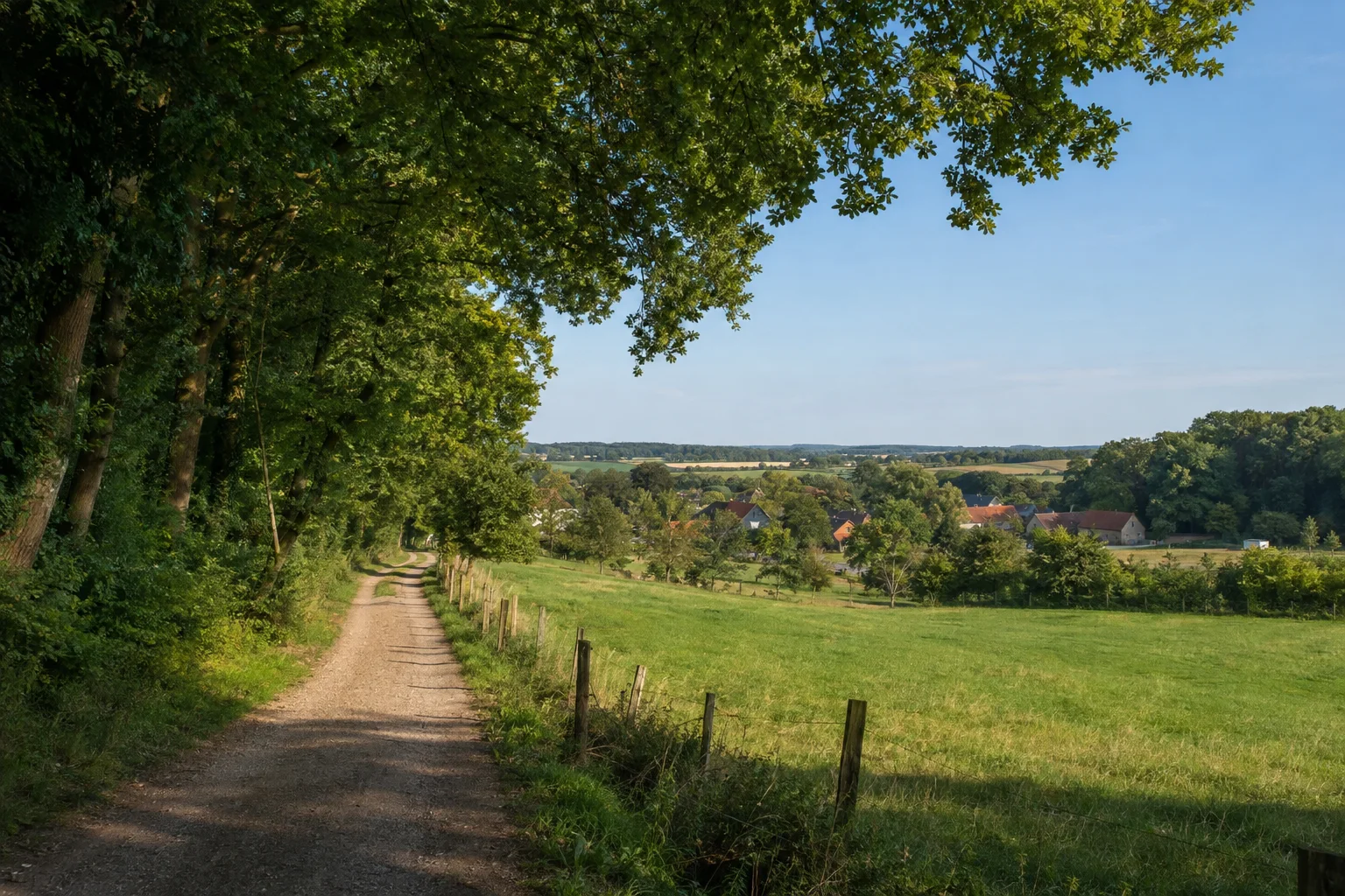 Cismarer Umland: Buchenwald und grüne Wiesen am Rand eines kleinen ostholsteinischen Dorfes