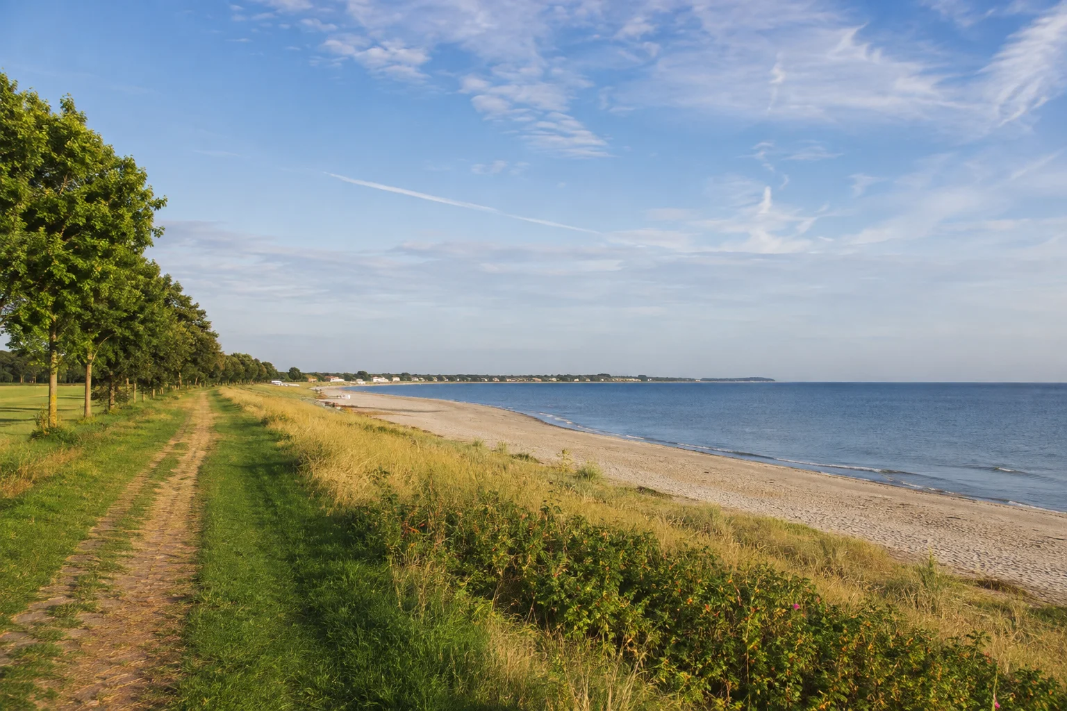 Grömitz: Grömitzer Küstenlandschaft: flacher Ostseestrand mit grünem landseitigen Weg und niedrigem Dünensaum unter weitem Himmel