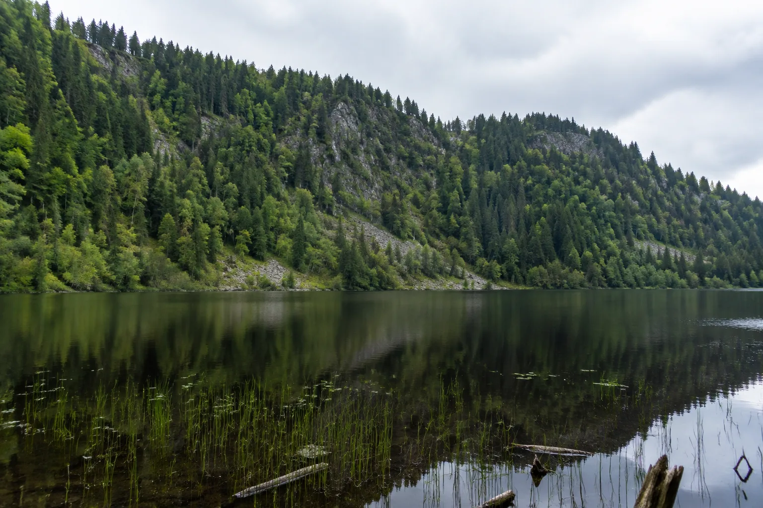 Großer Arbersee: dunkler Karsee unter bewaldeter eiszeitlicher Seewand