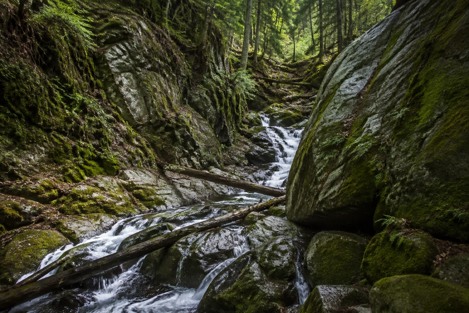 Höllbachgespreng: steile felsige Waldschlucht mit rauschenden Kaskaden und urwaldartigem Mischwald