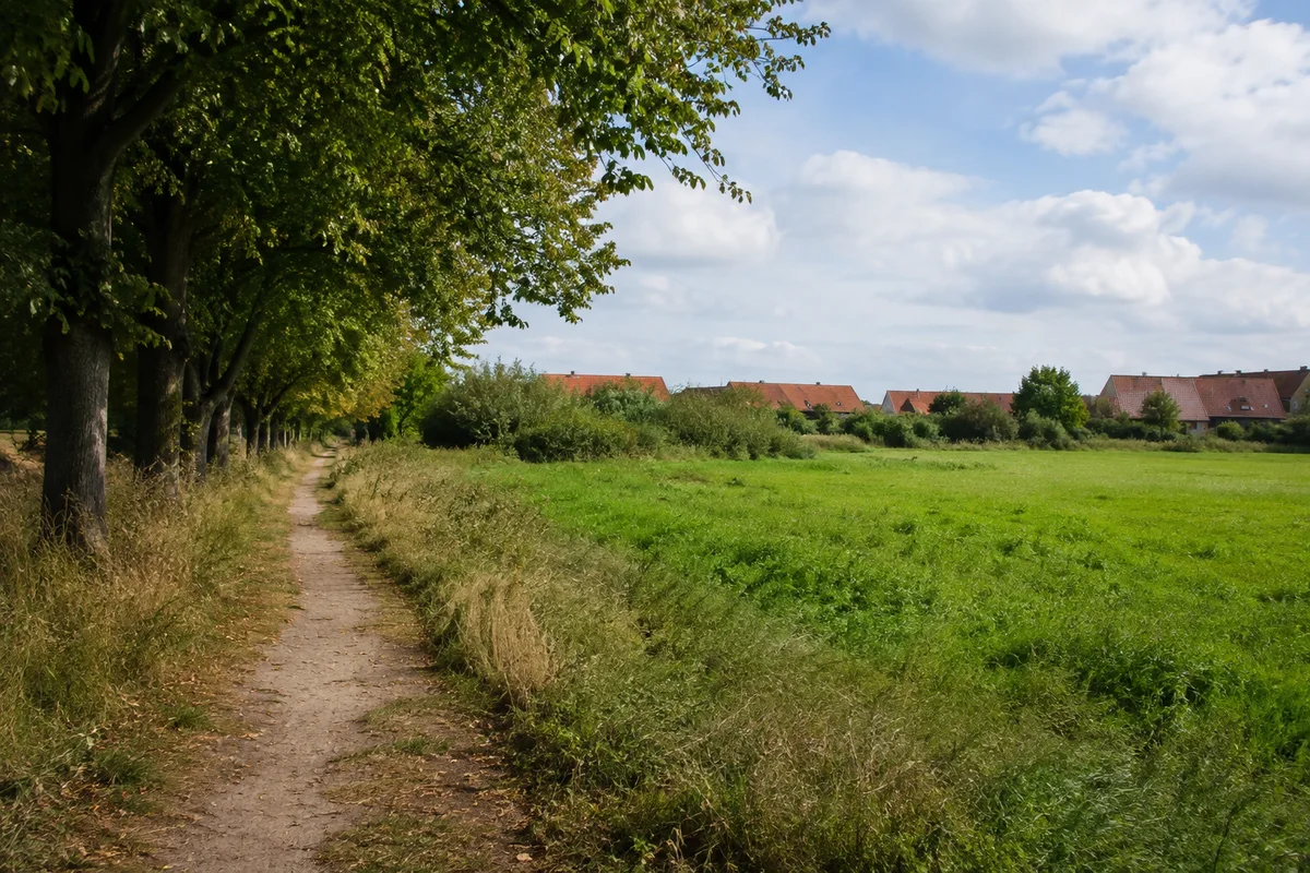Dreiskau-Muckern: schmaler Weg entlang grüner Dorfwiesen und Laubbaumreihe vor niedrigen roten Ziegeldächern
