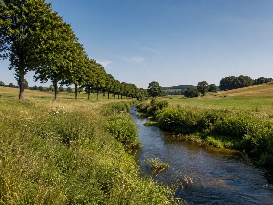 Kleinröhrsdorfer Rödertal: kleiner Fluss durch Wiesen mit Laubbaumreihen und sanften Feldhängen