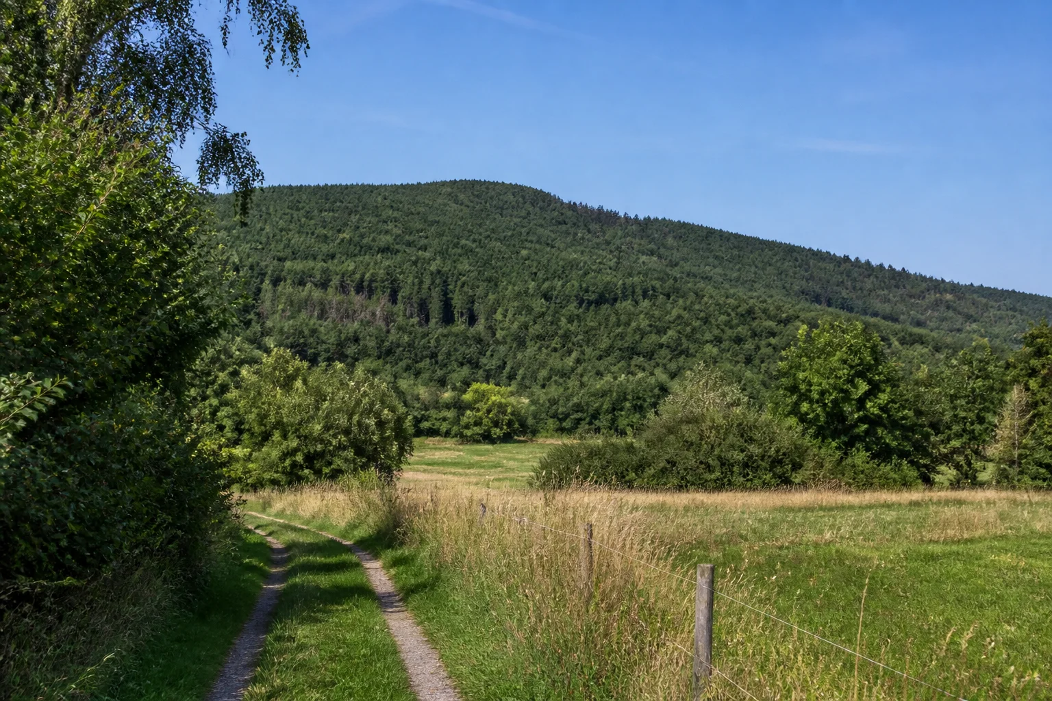 Waltersdorfer Vorland: Wiesenweg unter einer dicht bewaldeten sanften Bergkuppe ohne alpine Felsen