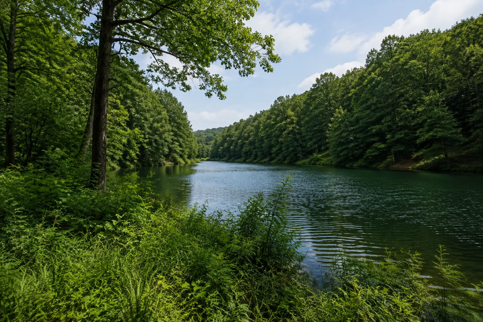 Länglicher Waldsee zwischen Laubwaldhängen.