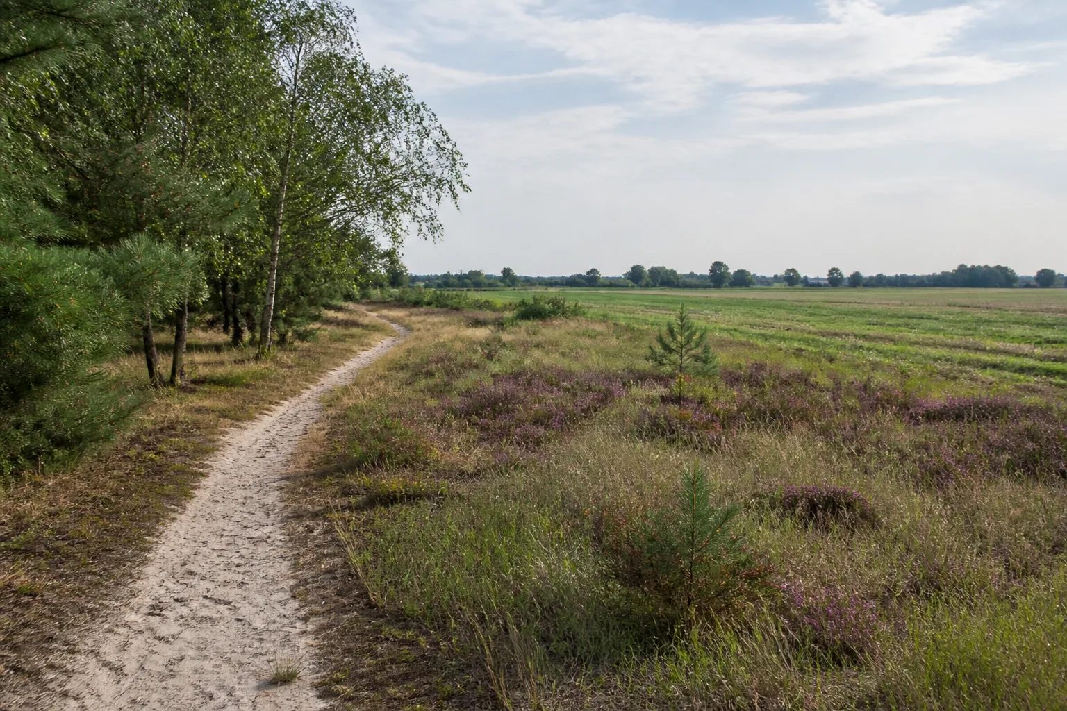 Sandweg an der Niehorster Heide in Gütersloh