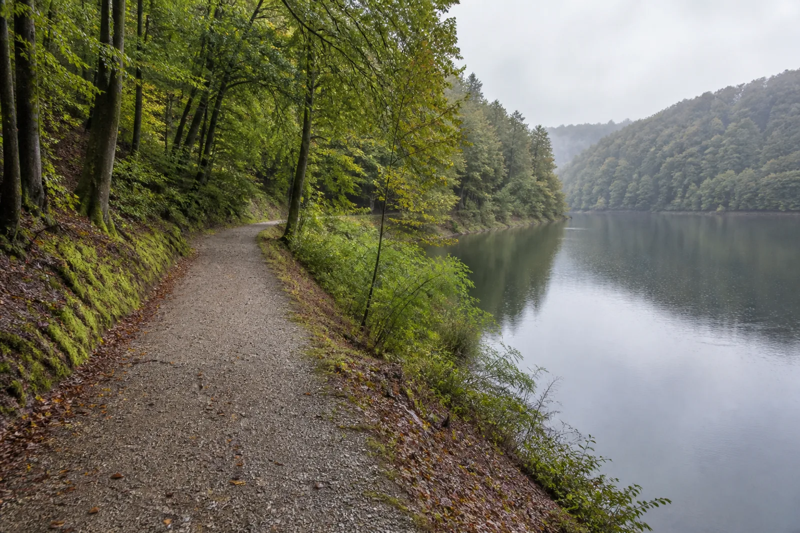 Ruhiger Uferweg an der Genkeltalsperre bei Gummersbach