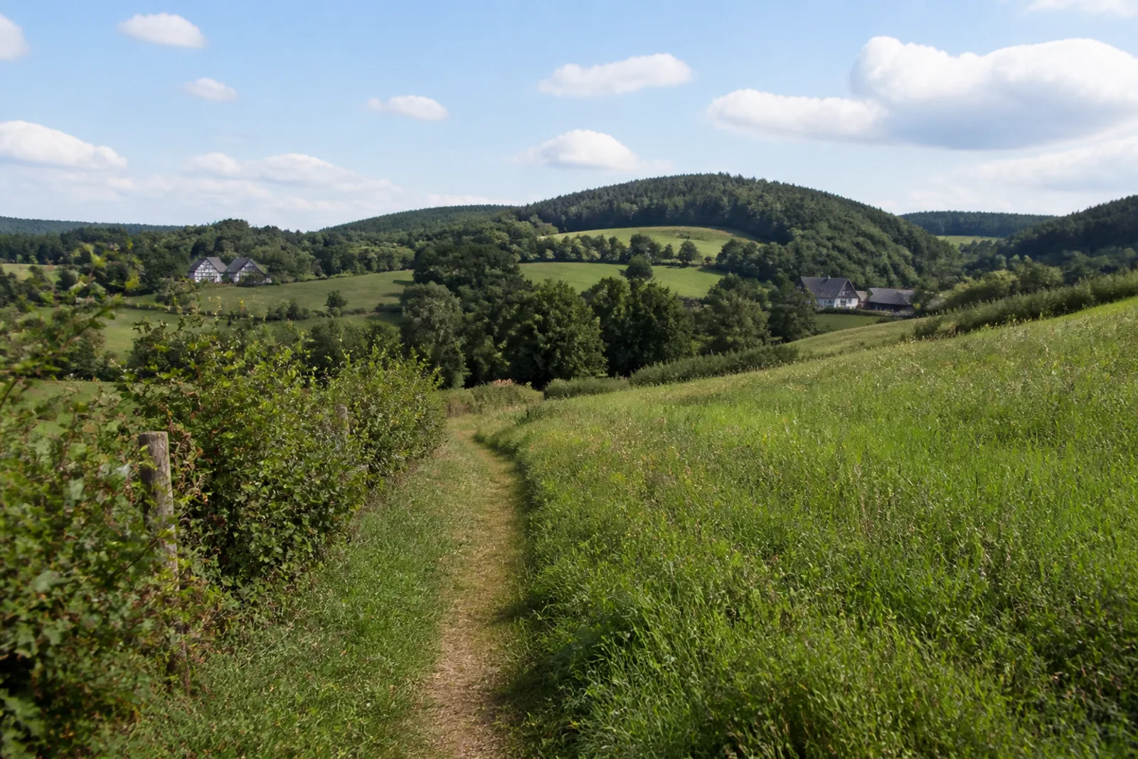 Feldweg zwischen Wiesen und bewaldeten Höhen bei Gummersbach-Lieberhausen