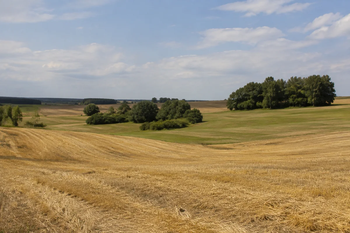 Sanft wellige Feldlandschaft bei Unterasbach südöstlich von Gunzenhausen mit Getreidestoppeln, Wiesen und entfernten Waldstreifen.