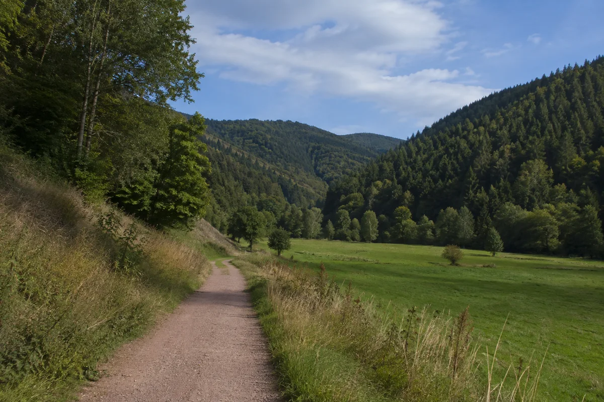 Gutach (Schwarzwaldbahn): Gutach (Schwarzwaldbahn): Gutachtal mit breitem Wiesengrund und bewaldeten Hängen.