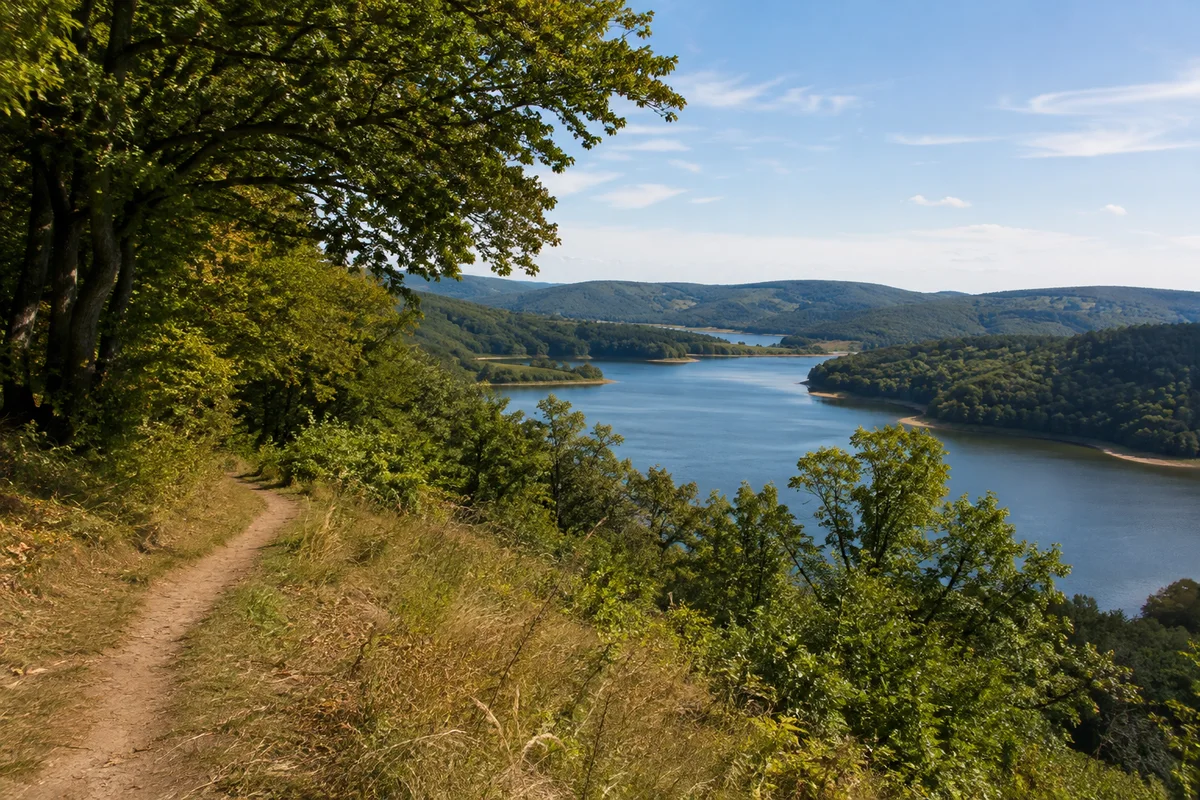 Waldeck: Waldsaum über verzweigtem Stausee mit bewaldeten Ufern ohne erfundene Burg