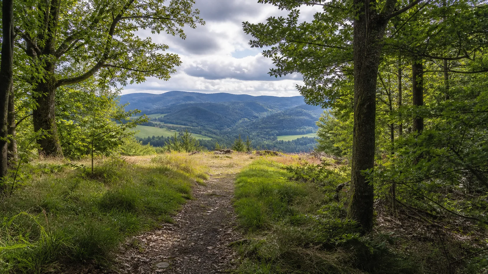 Waldweg in der Hachener Mark