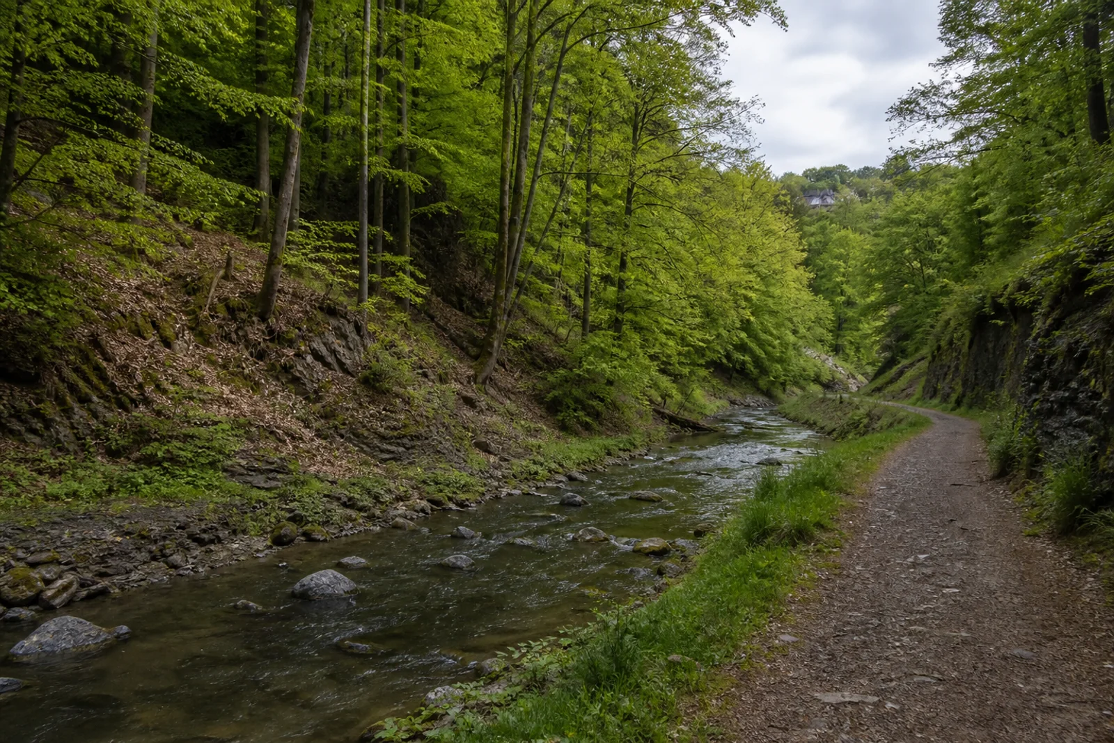 Waldpfad oberhalb der Volme im engen Volmetal bei Hagen-Dahl