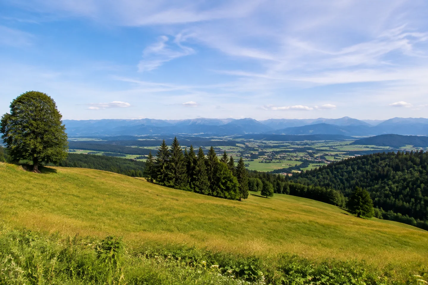 Berghof Halblech: sanfte offene Hügel über dem Tal mit Aussicht auf das entfernte Ammergebirge