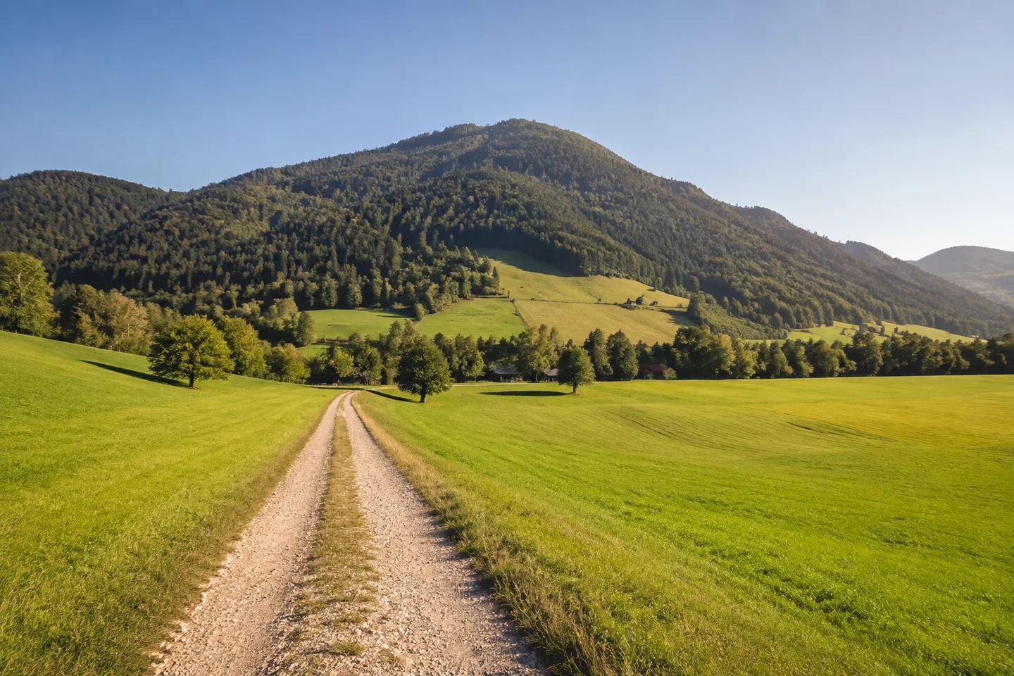 Halblech: Buching: weite grüne Talwiesen vor dem bewaldeten Buchenberg, geschotterter Wirtschaftsweg