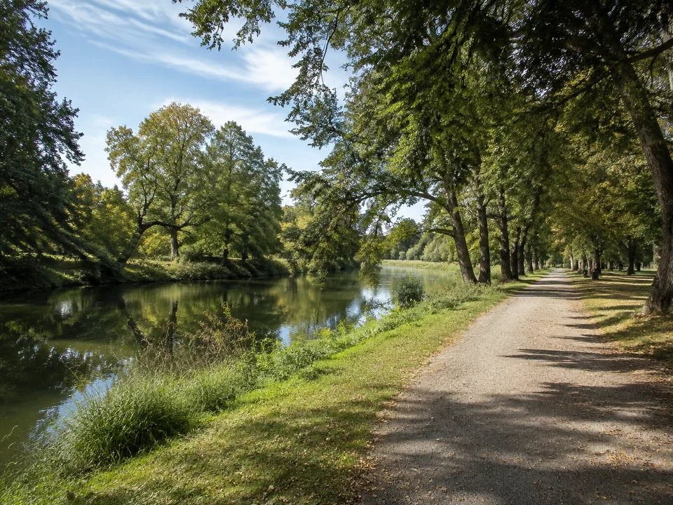 Saale an der Peißnitz: Ruhiger Flussarm zwischen großen Laubbäumen und breitem Parkweg im ebenen städtischen Grün