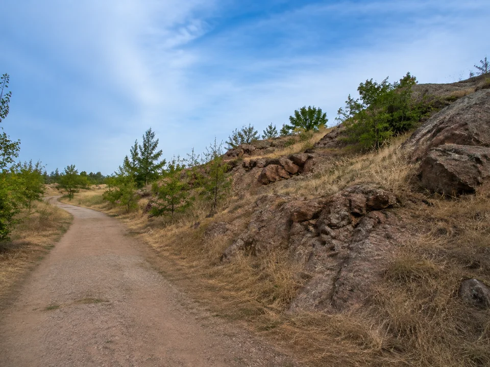 Porphyrhügel in Halle: Niedrige rötlichgraue Porphyrfelsen mit trockenem Gras und Gehölzen in einer städtischen Grünanlage