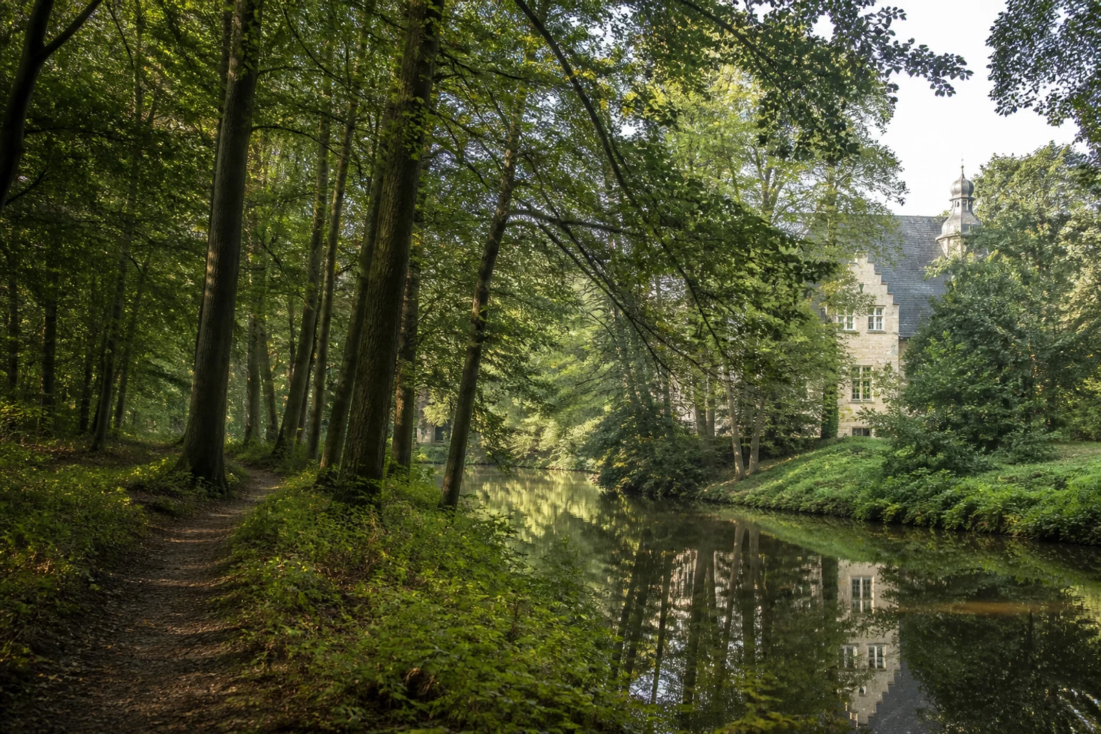 Wald und Wassergraben bei Schloss Tatenhausen