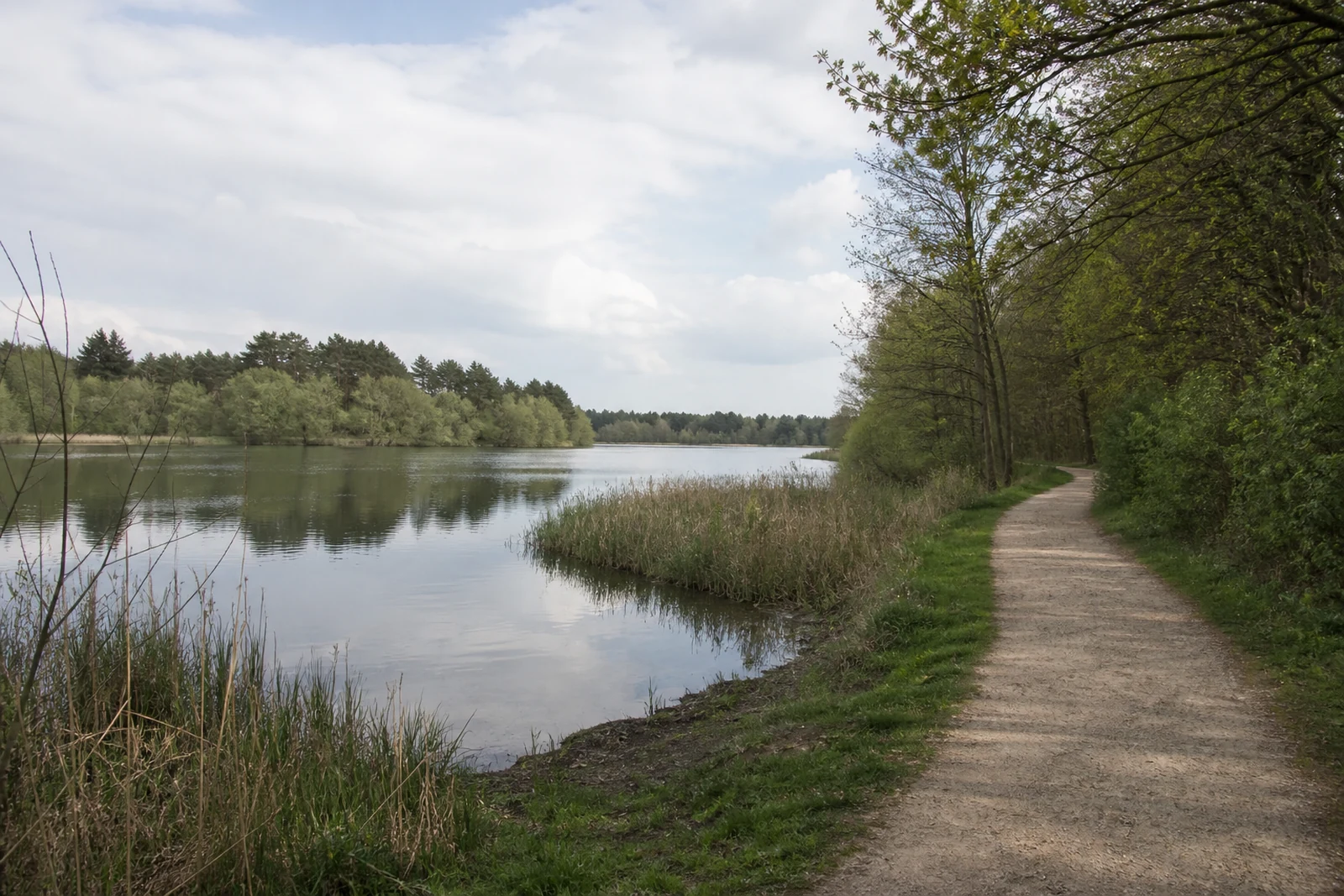 Uferweg am Hullerner Stausee in Haltern am See