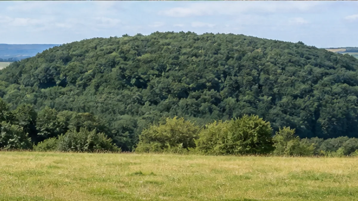Wald- und Wiesenpfad an der Karlshöhe