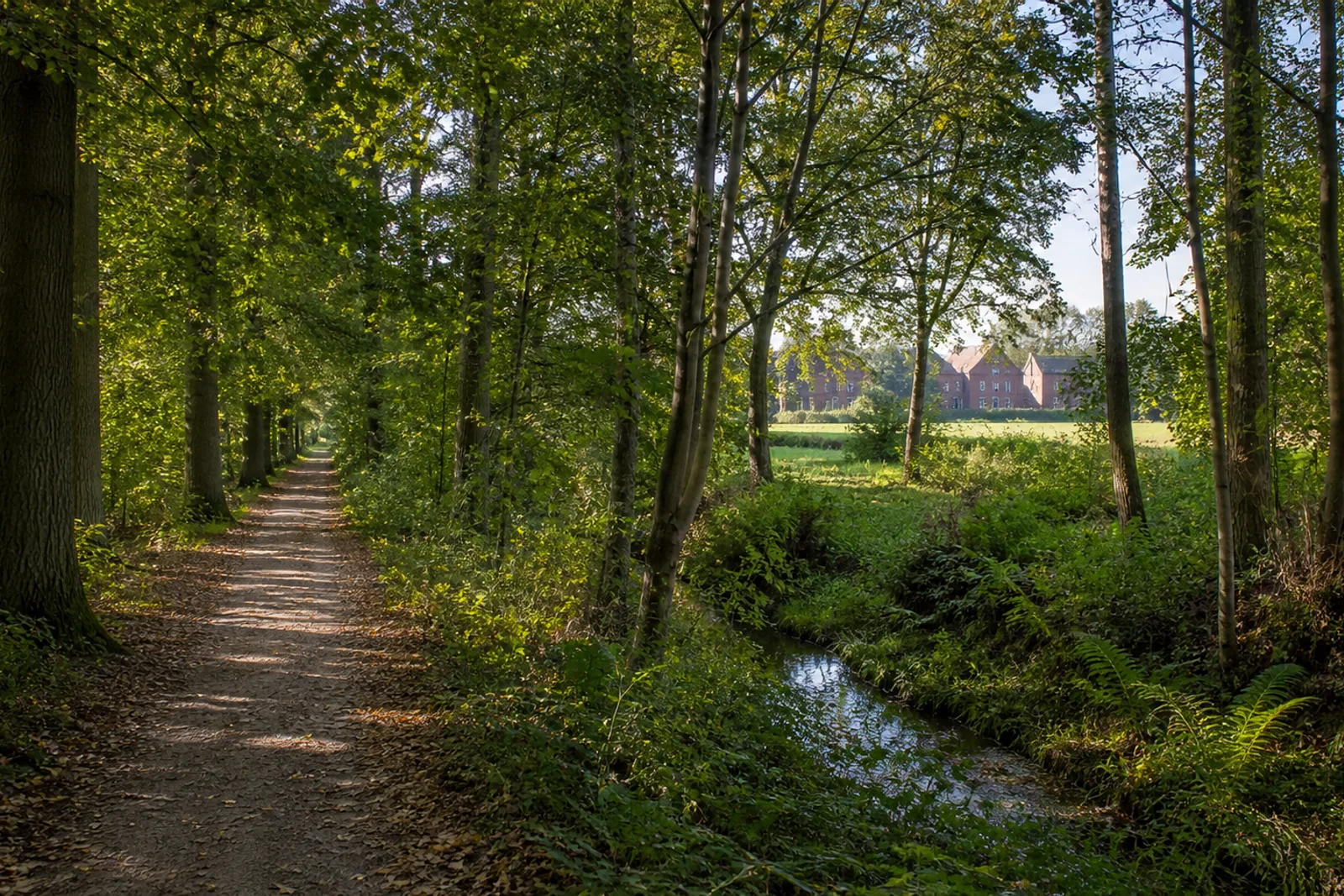 Feuchter Laubwaldweg mit Graben und Blick Richtung Schloss Oberwerries