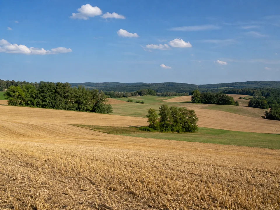 Hochfläche bei Schupf: Ländliche Jura-Hochfläche bei Schupf mit abgeernteten Äckern, Wiesen und Waldrändern, leicht welliger Horizont.