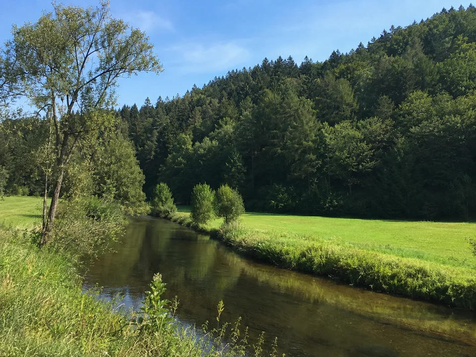 Pegnitz bei Enzendorf: Pegnitz bei Enzendorf als kleiner ruhiger Fluss mit Ufergehölzen, grüner Talwiese und dicht bewaldeten Hängen.