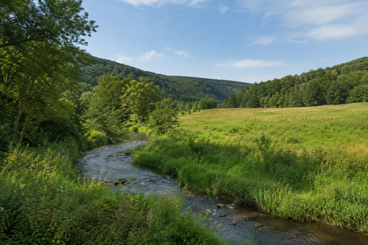 Kleine Selke zwischen Laubwald und Talwiese bei Straßberg, niedrige bewaldete Rücken, keine Industriebauten