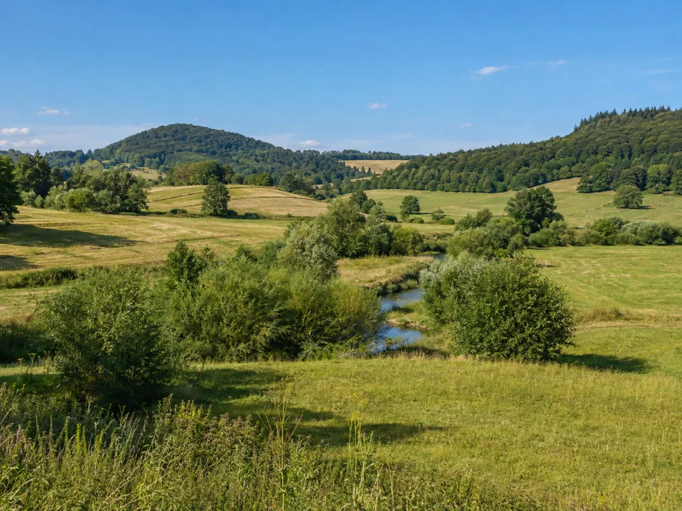 Wiesental bei Hofheim: Weites leicht welliges Wiesental bei Hofheim in Unterfranken mit Bachgehölzen und niedrigen bewaldeten Keuperhügeln