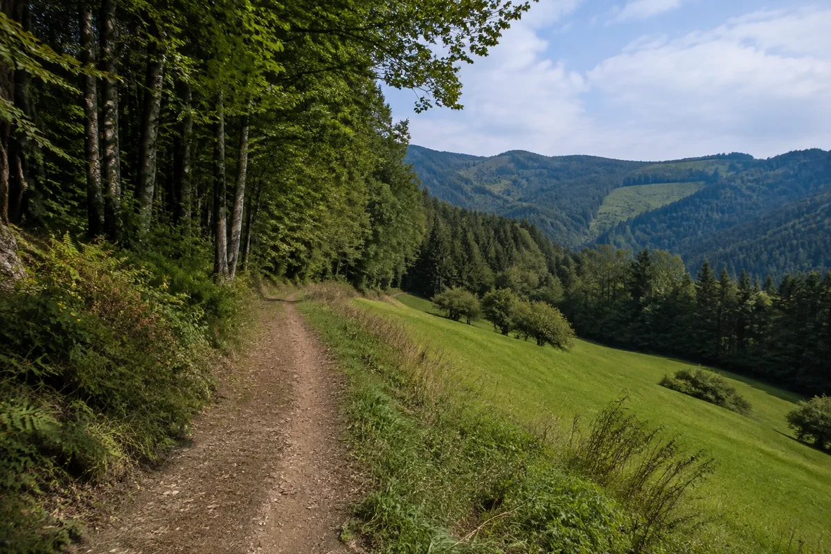 Nördliches Wiesental mit Einzelhöfen und ruhigen Waldaufstiegen.