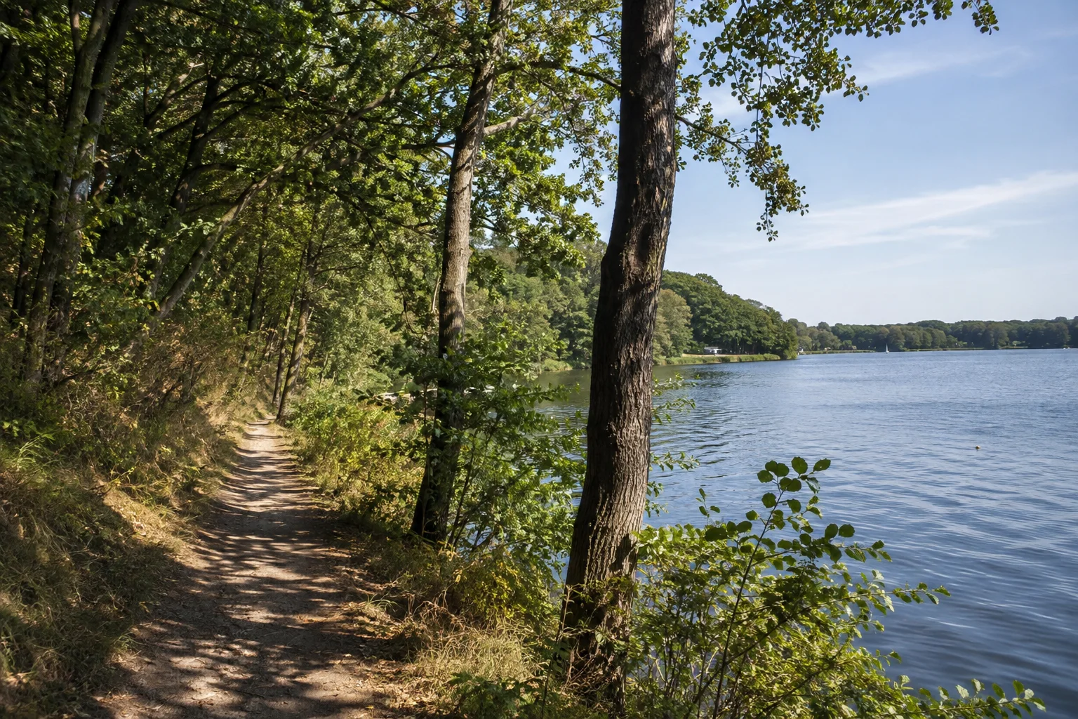 Ufernahe Waldwege mit Blick auf die Havelbucht.