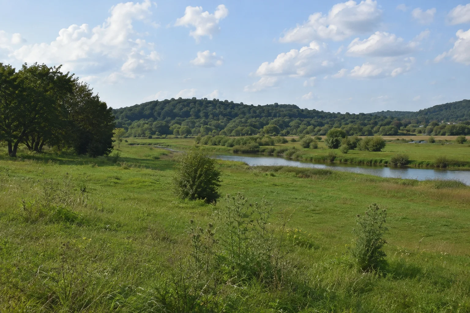 Breite Flusswiesen und niedrige bewaldete Hügel.