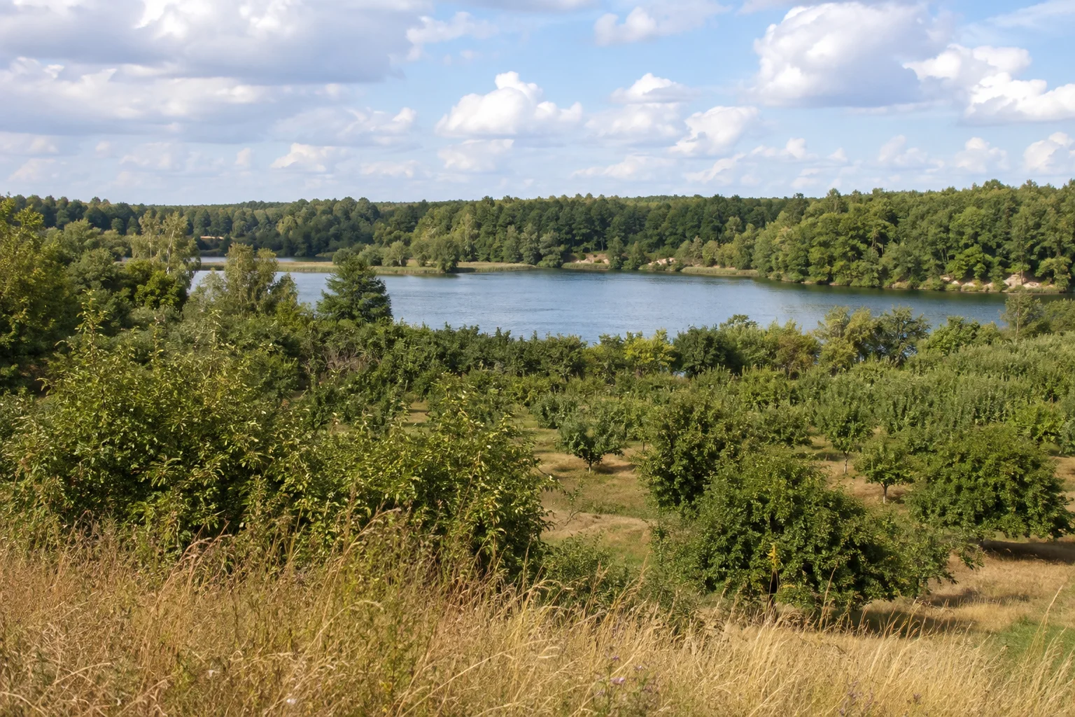 Obstlandschaft und bewaldete ehemalige Tongruben.
