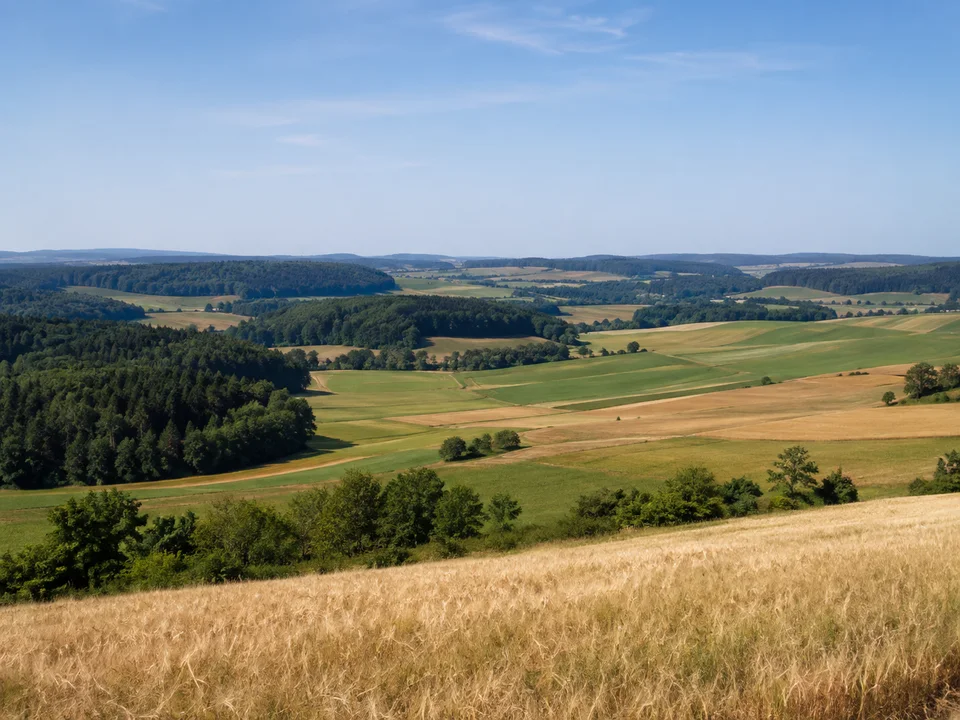 Hegaulandschaft bei Tengen: Weite sanft wellige Hochfläche mit Wiesen, Getreidefeldern und dunklen Waldinseln, keine Hochgebirge