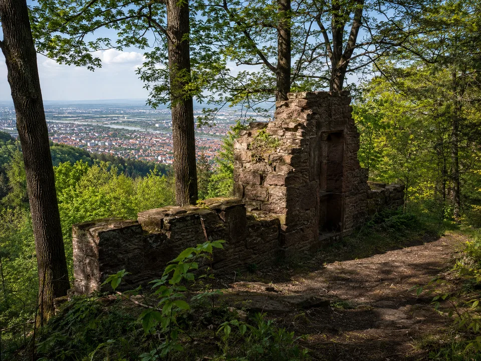 Heiligenberg: bewaldeter Berg mit Sandsteinmauern über dem Philosophenweg
