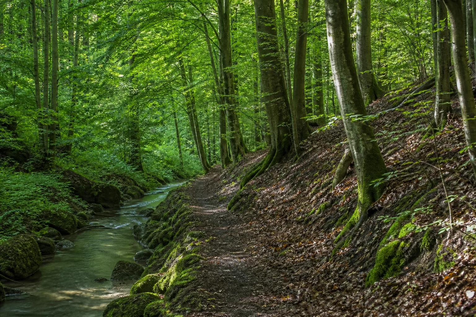 Rinderbach und Angertal beim Wandern in Heiligenhaus