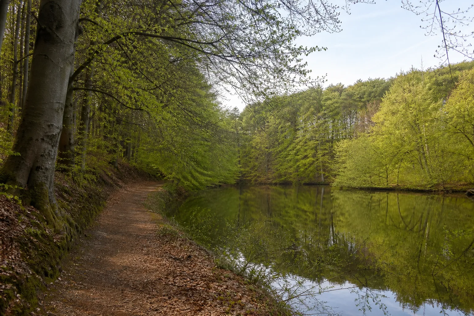 Heiligenhaus: Landschaft beim Wandern in Heiligenhaus