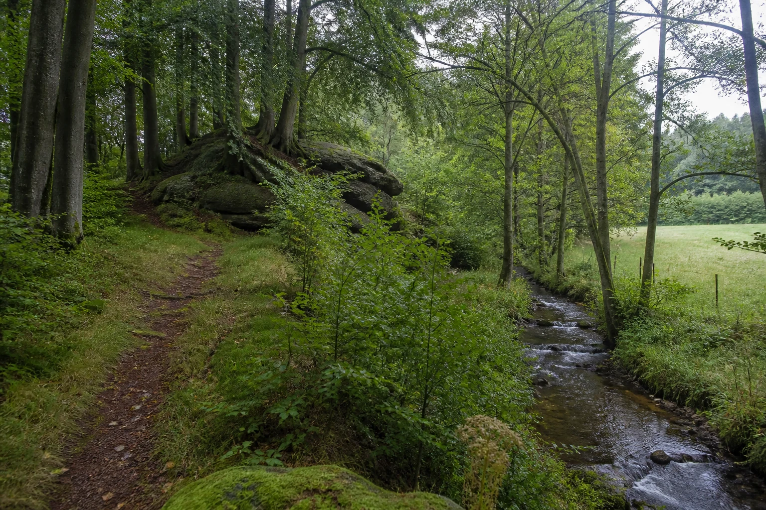 Bielstein und Wiembecke bei Heiligenkirchen