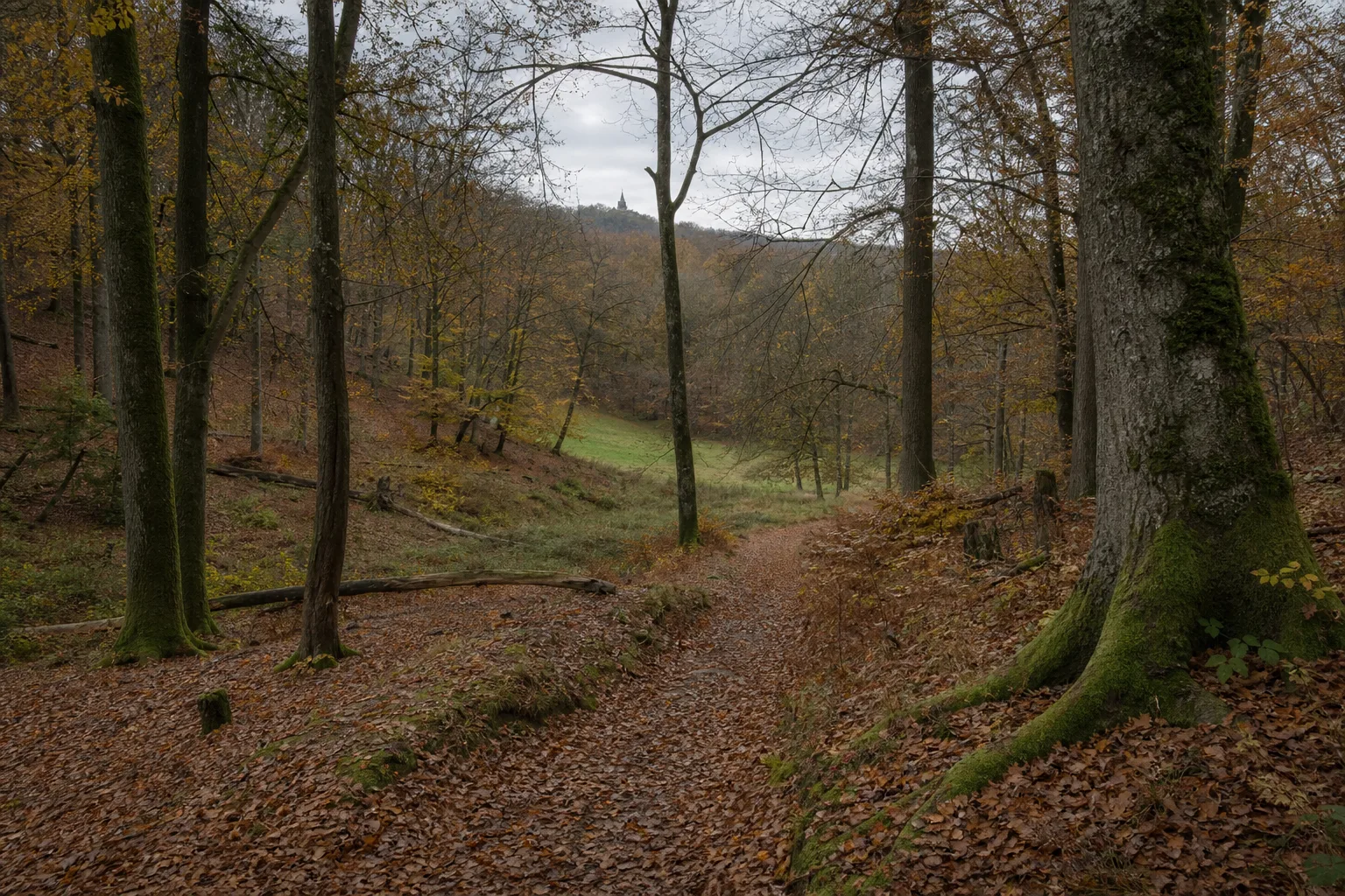 Laubwaldweg in einer stillen Talmulde nahe Mariawald bei Heimbach