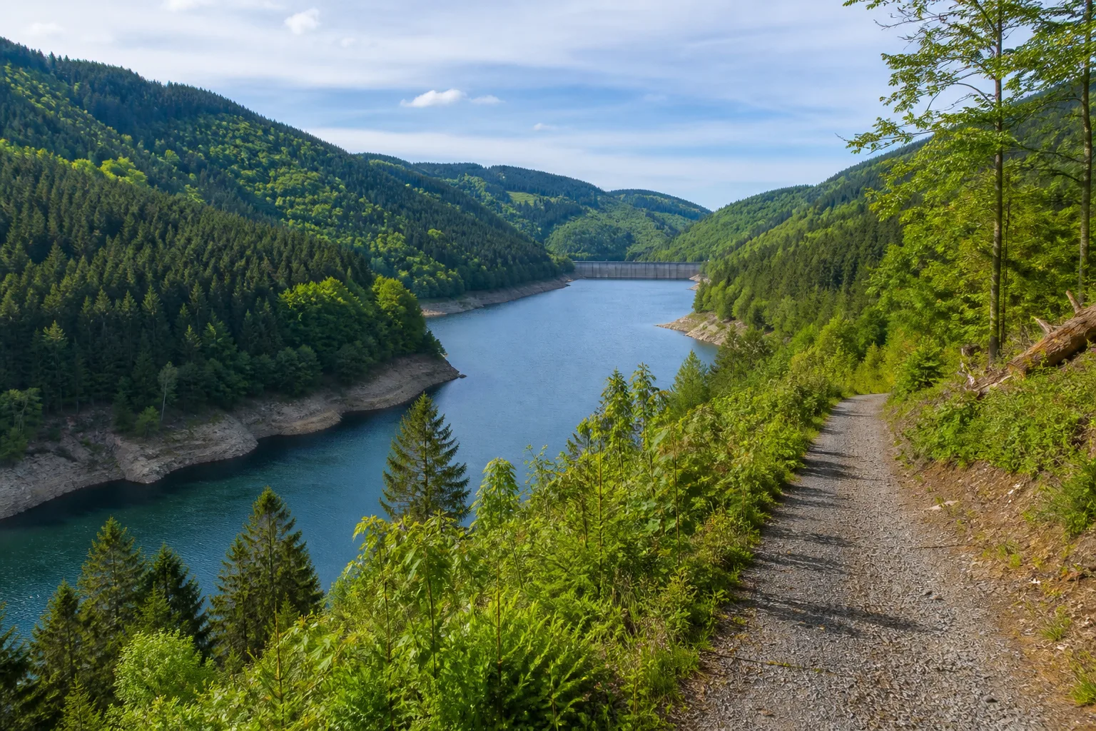 Wanderweg oberhalb der Oleftalsperre in Hellenthal