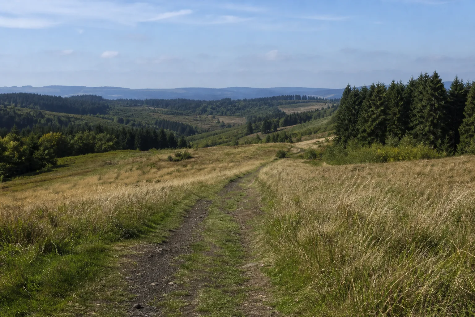 Offener Höhenweg bei Hellenthal-Udenbreth