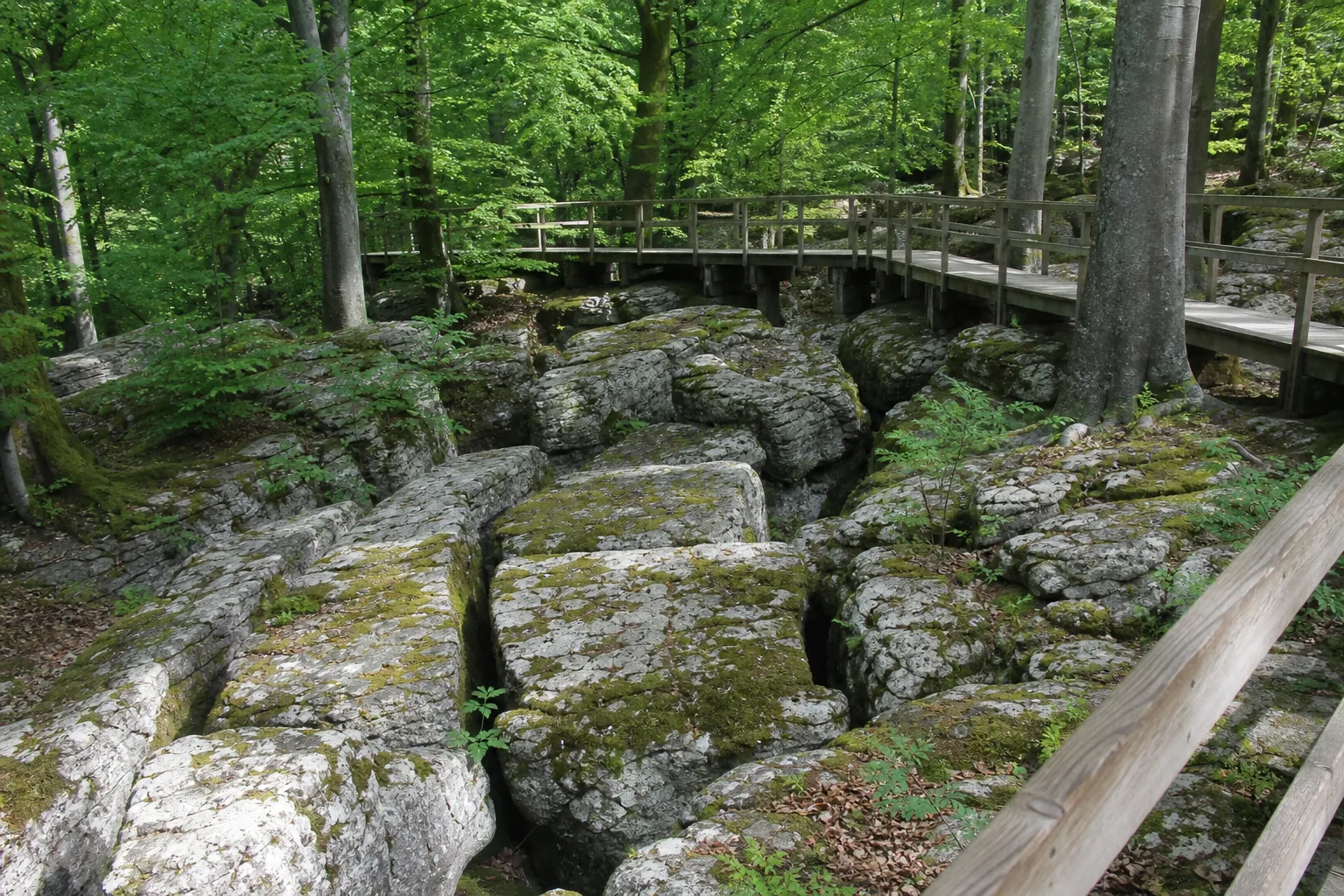 Holzsteg über zerklüfteten Kalkfelsen im Felsenmeer Hemer