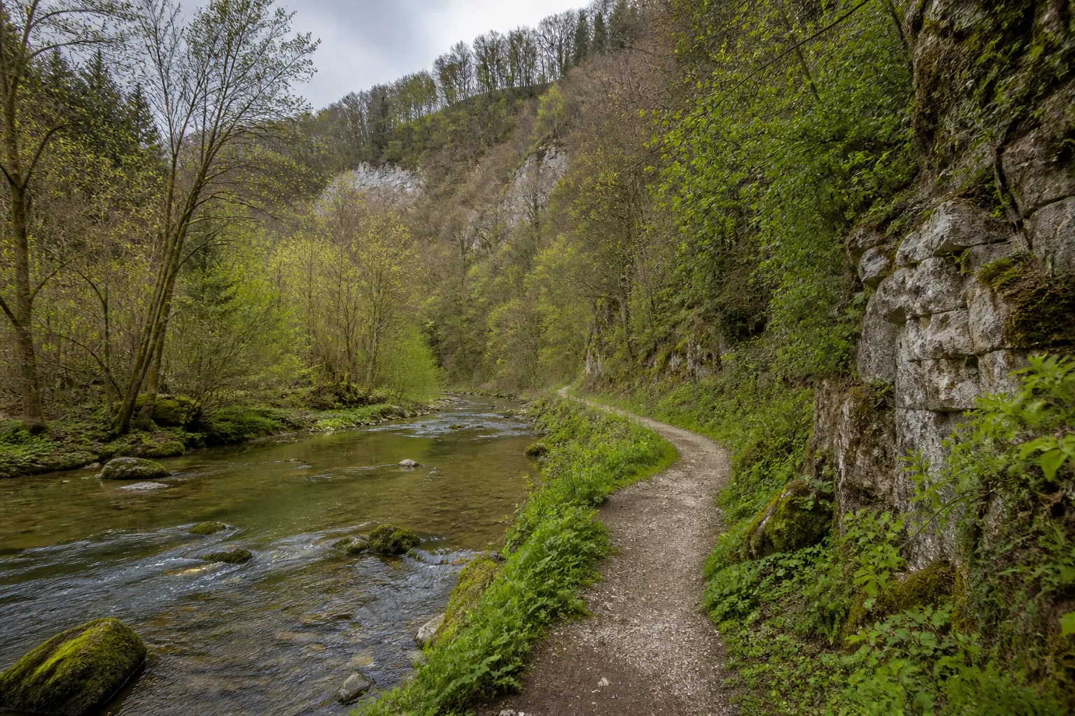 Wanderpfad zwischen Hönne und bewaldeten Kalkfelsen im Hönnetal
