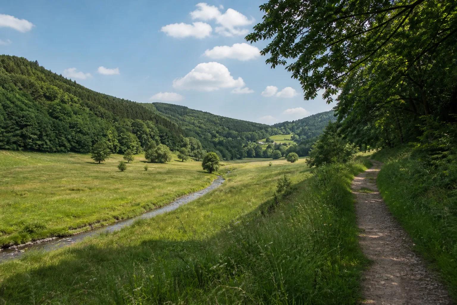 Wiesenweg an einem Bach im Stephanopeler Tal bei Hemer