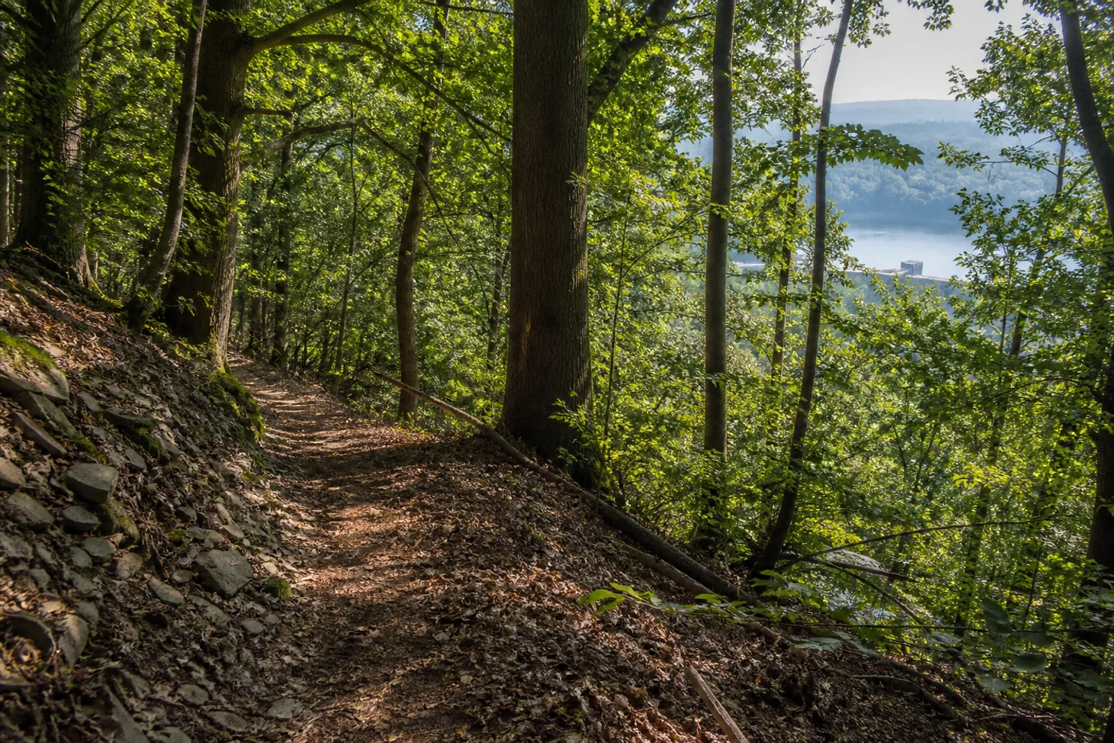 Waldpfad am Kermelberg mit Ruhrblick