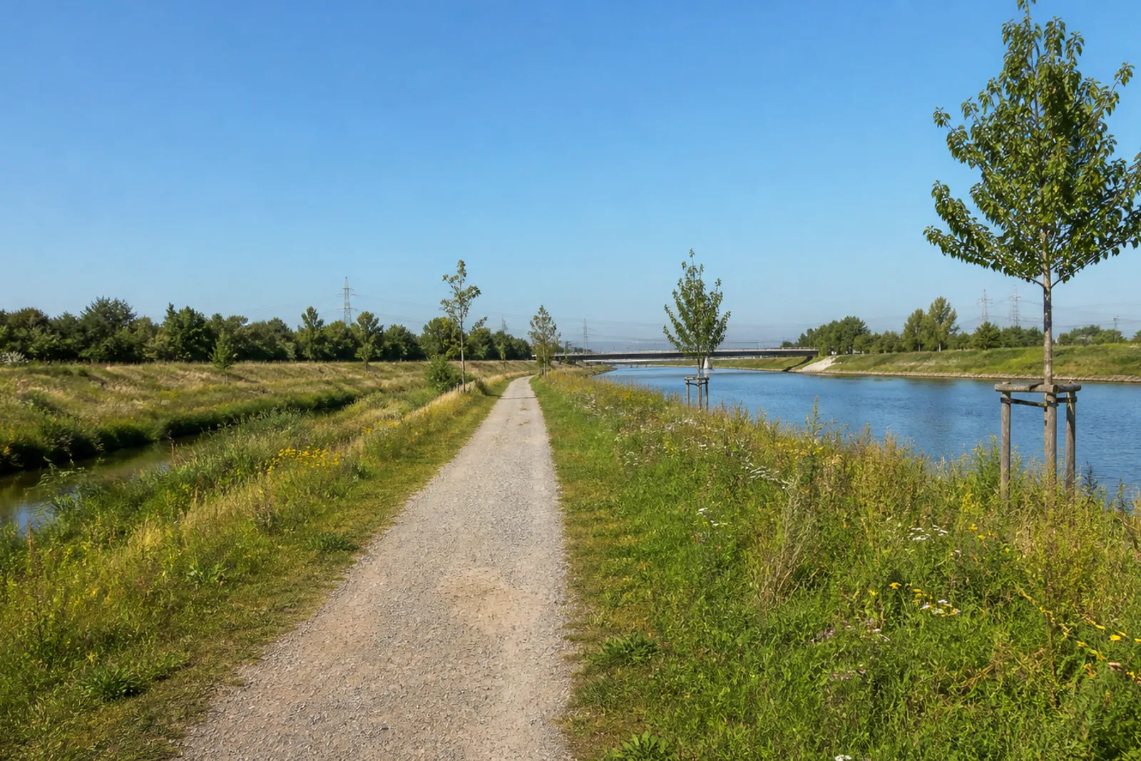 Gerader Grünweg zwischen renaturierter Emscher und Rhein-Herne-Kanal in Herne